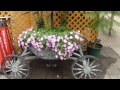 手柄山温室植物園「タイタンビカス・ミナヅキ」 の動画、YouTube動画。