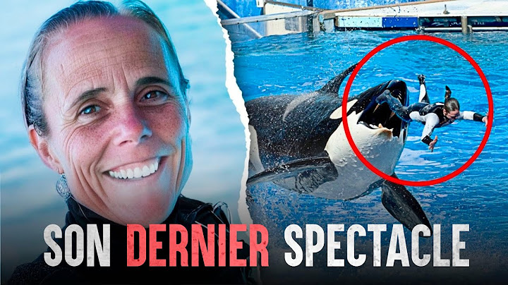 Tragédie au Sea World : Le dernier spectacle terrifiant de Dawn Brancheau