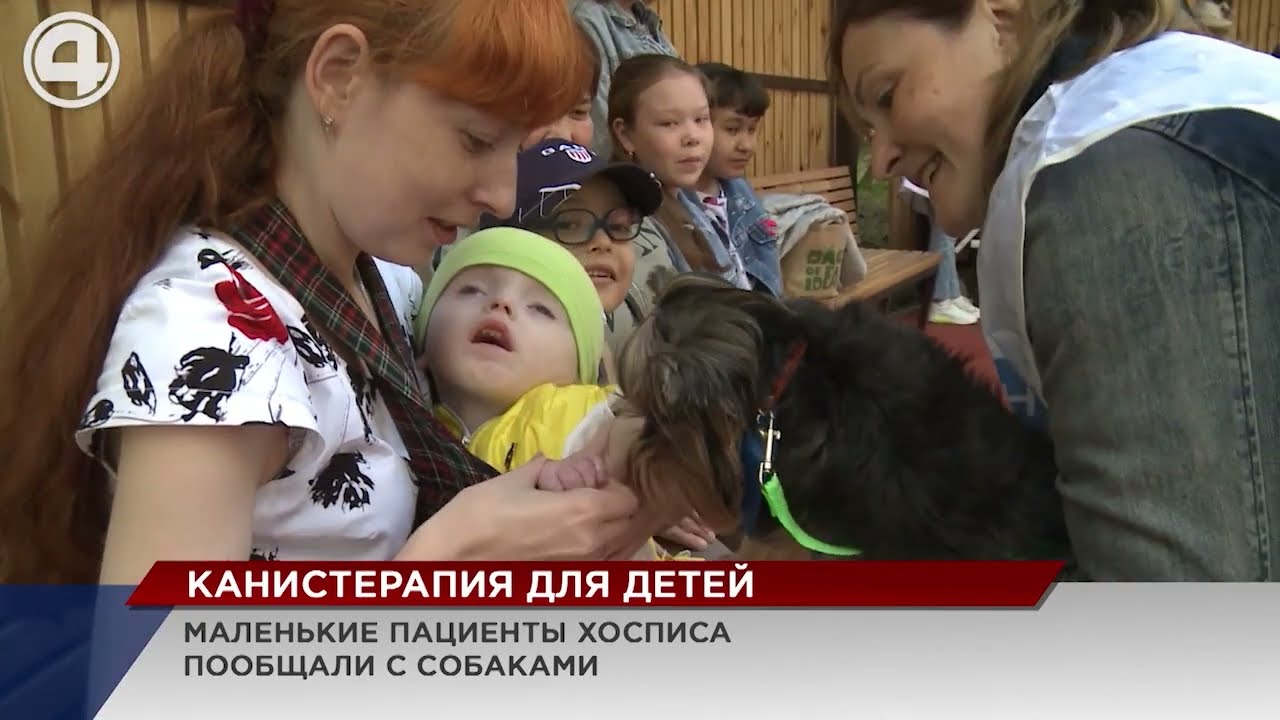 Что такое канистерапия? Как с ее помощью помогают детям - YouTube