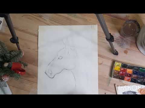 учимся рисовать лошадь