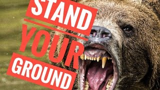 Standing Strong In The Face Of Business Challenges.