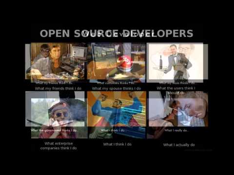 Programmer's lifecycle : Bug, Bug, Bug run run
