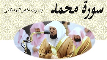 47 Sourat Mohamed Maher Al Mueaqly سورة محمد ماهر المعيقلي