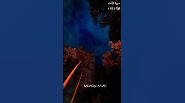 سورة الأنعام الأية 63