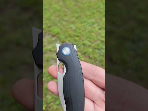Hollow Grind+Kizer Seagull=????