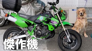 KAWASAKI KSR-2（最終型）参考動画：２種２ストオフロードの傑作機