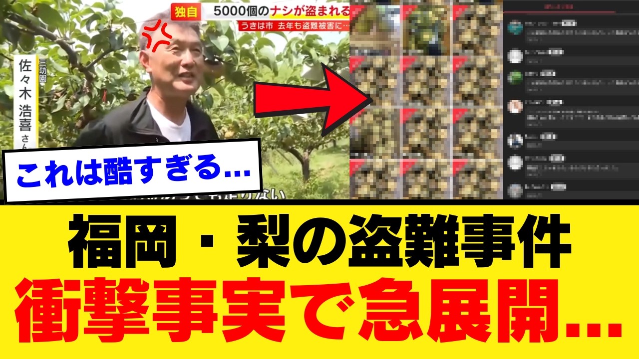 【令和の闇市】メルカリで福岡県産の梨が大量販売…2年連続で盗まれ廃業する農家との残酷すぎる落差に怒り爆発【社会反応】