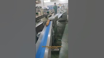 Biscuit Dropper Packaging Machine - Four Piece Pack #machine #factory #foodpackagingmachine #food