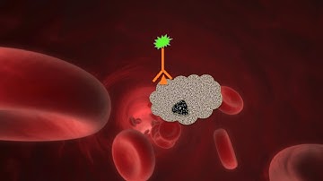 The detection of Circulating Tumour Cells - Dr. Joachim Fluhrer & Prof. Katharina Pachmann