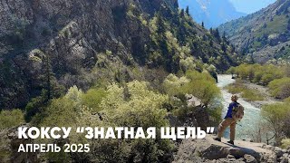 видео: РЕКА КОКСУ | Поход к  картинка: РЕКА КОКСУ | Поход к