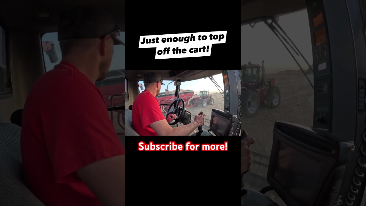 Combine dumping to cart! 