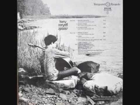 Larry Coryell - Wrong Is Right