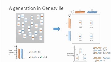 William James: Evolutionary Genetics 1