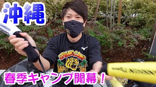 【沖縄宜野座】ついに春季キャンプ開幕や！そして2021年阪神タイガース新グッズを少し紹介するでえ！