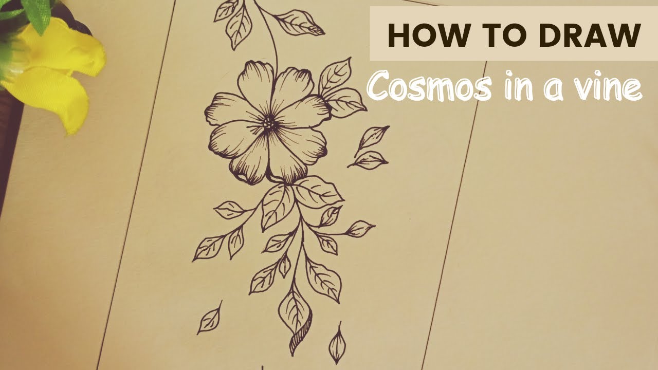 How to draw a Cosmos in a vine|| Easy Tutorial - YouTube