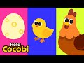 🐣Pollitos que se Convierten en Pollos | Canción de Animales para Niños | Hola Cocobi