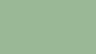 iPhone 17 Sage Color (HEX #A8BBA2) | 2 Hours Relaxing Green Screen | Apple iPhone 17 Color