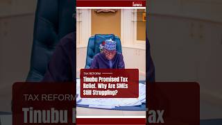 Tinubu Promised Tax Relief. Why Are SMEs Still Struggling