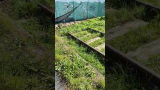 Gleise Ehem. Haltepunkt Windbergbahn Kleinnaundorf Sachsen - Formerly Railway Stop Tracks Saxony