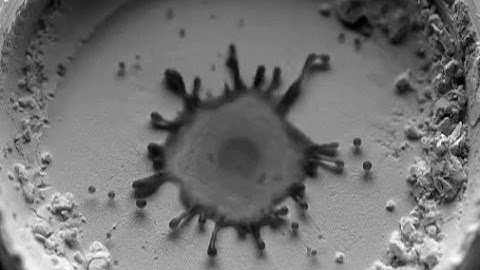 Water droplet impacting dry compressed powders