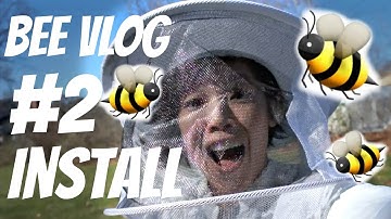 BEE VLOG #2 - INSTALLING the bees into the hive