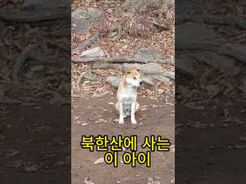 북한산의 유명견사