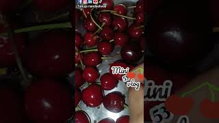 minivlog of TNJ 53 #viral #love #trending #cherry #red #india #viralupdate #viralstory #viralworld