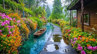 Calm Within the Rain Garden 🏡 Beautiful Design Ideas That Restore Peace and Gentle Positivity
