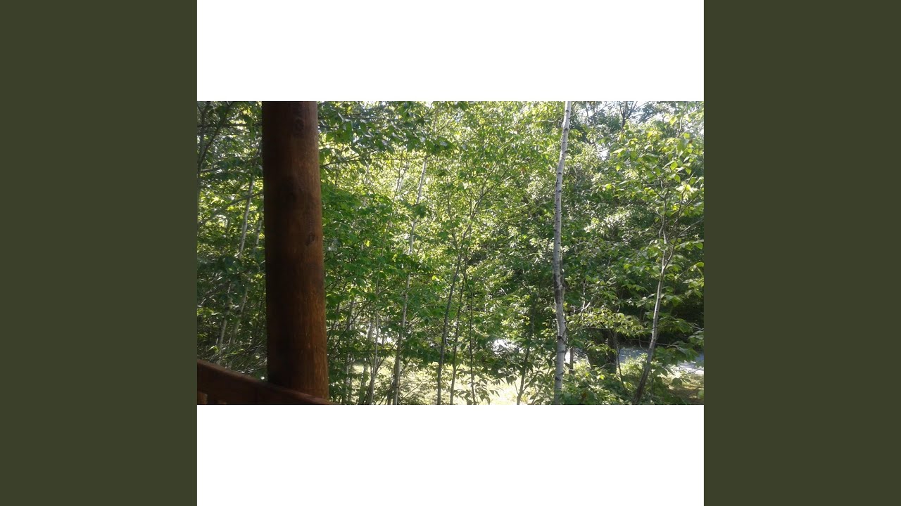 Kiss and Say Goodbye