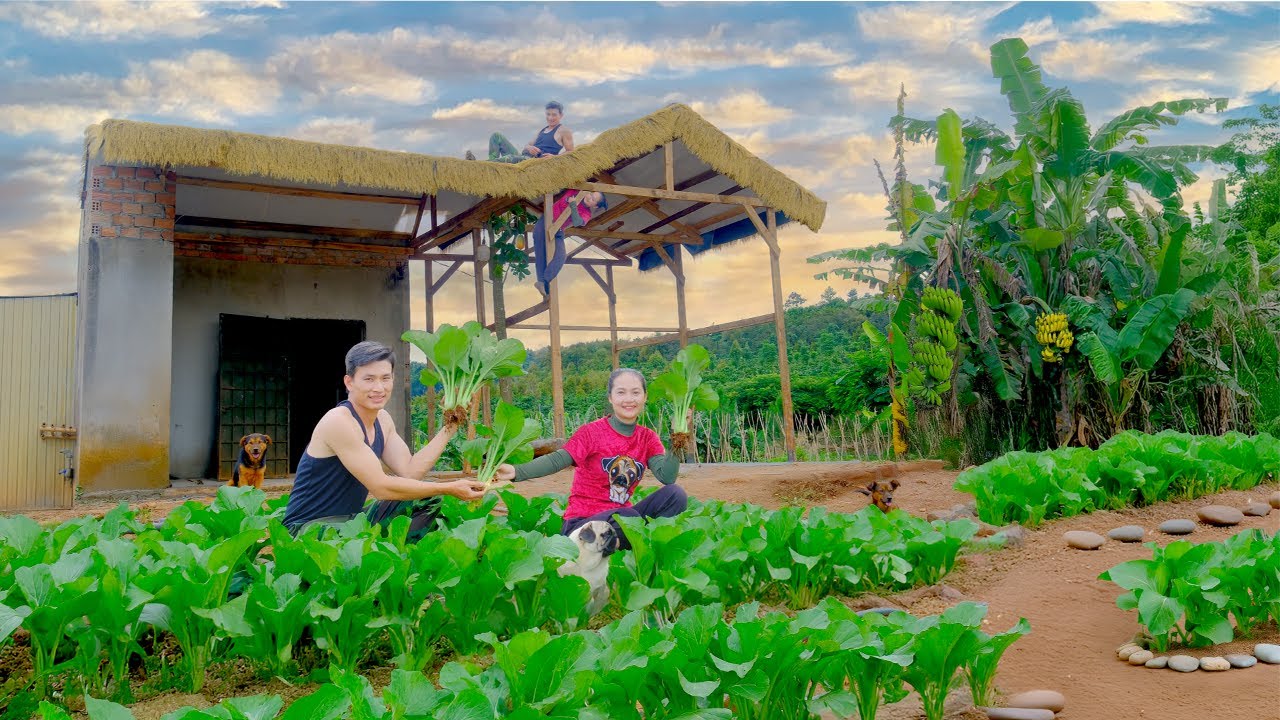 CEO Harvests Greens After 20 Days To Cook, Fixes Roof & Pours Floor with Sister, Plants Watermelon..