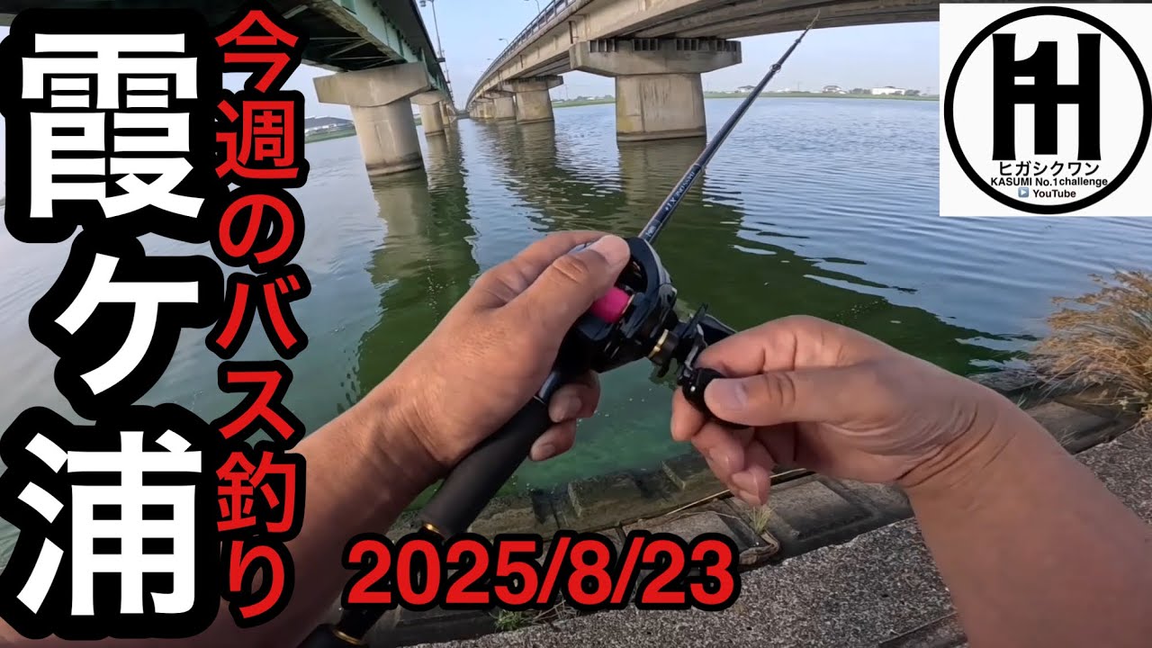 バス釣り今週の霞ヶ浦2025年8月23日