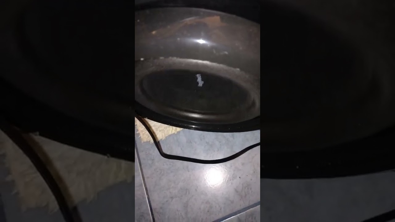 Regardez Logitech z906 play 16 Hz seen wave and it make a nice pressure in all house 🏡🎼🔊💨👀 part 1 sur YouTube Regardez Logitech z906 play 16 Hz seen wave and it make a nice pressure in all house 🏡🎼🔊💨👀 part 1 sur YouTube