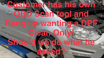 Ford S Max, only fault codes P2463, P246C, or are they?