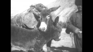 :  , 1926 .