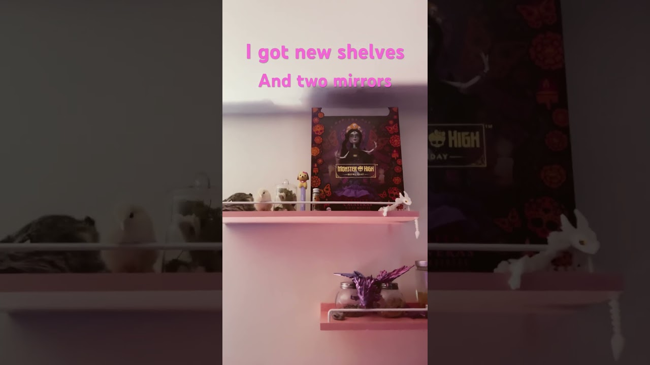 I got new things for my room 