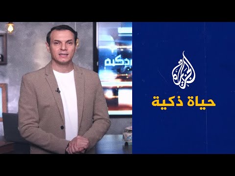 فيديو: الجزيرة كمركز حياة المدينة