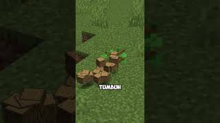 Jangan Letakkan Sapling Seperti Ini Lagi Di Minecraft