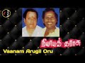 Vaanam Arugil Oru | வானம் அருகில் | SHANKAR GANESH | Nyaya Tharasu Movie | 1989 | Vinyl Mp3 Song