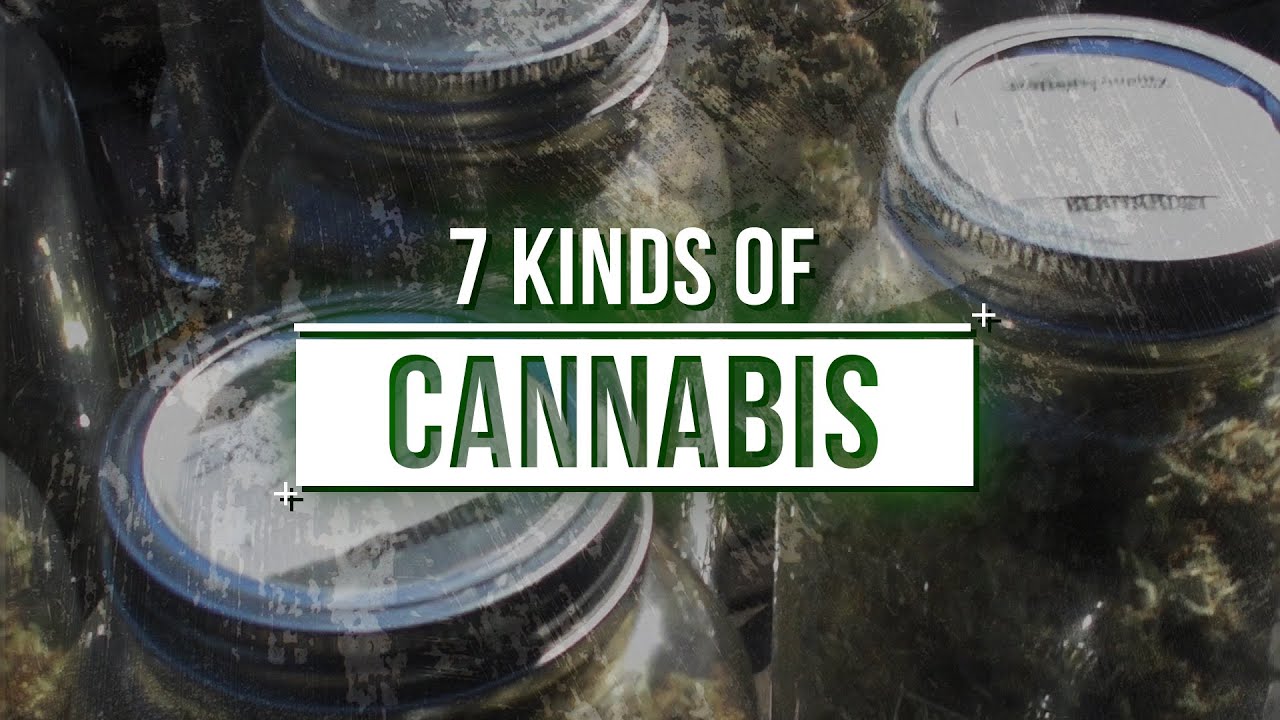 Beard Brothers  & 7 Kinds of Cannabis