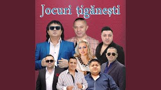 Video thumbnail of "Nicoleta Guță - Canta Muzicantii"