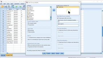 Categorical Predictors via Dummy Variables SmartPLS 3