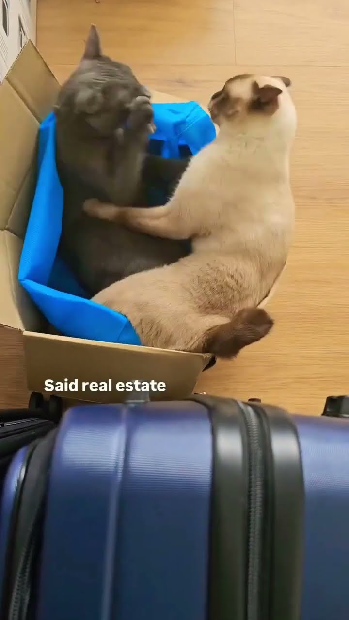 Prvnci trying to get that real estate but the haters going hard