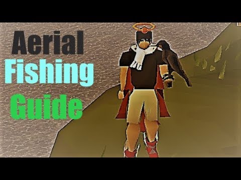 Osrs In Depth Aerial Fishing Guide Youtube