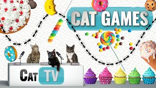 CAT Games |  Ants Invade Dessert Buffet!  | Bug Videos For Cats to Watch  | Cat TV Insects