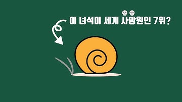 어쩌다 이 생명체는 세계 사망원인 7위가 된 걸까?