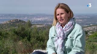 Vaqui. Découvrez Les 120 Gravures Dun Artiste Amateur Sur Le Garlaban