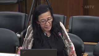 23-04-2026 - CPI- NIR | Audição de Carlos Manuel Mourato Nunes | Rosa Isabel Cruz 2ª