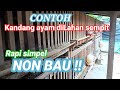 Contoh kandang ayam dilahan sempit,simpel rapih Non bau