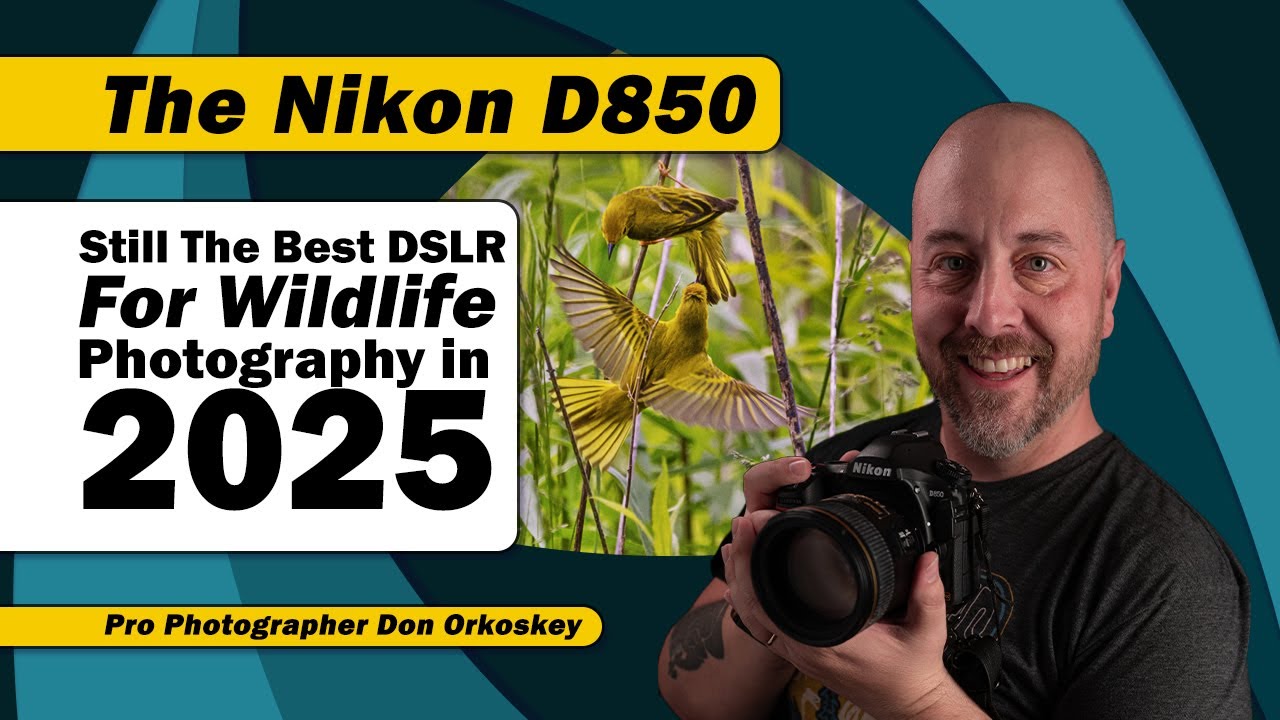 The Nikon D850: Still The Best DSLR For Wildlife Photography