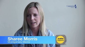 Support with Companion Systems